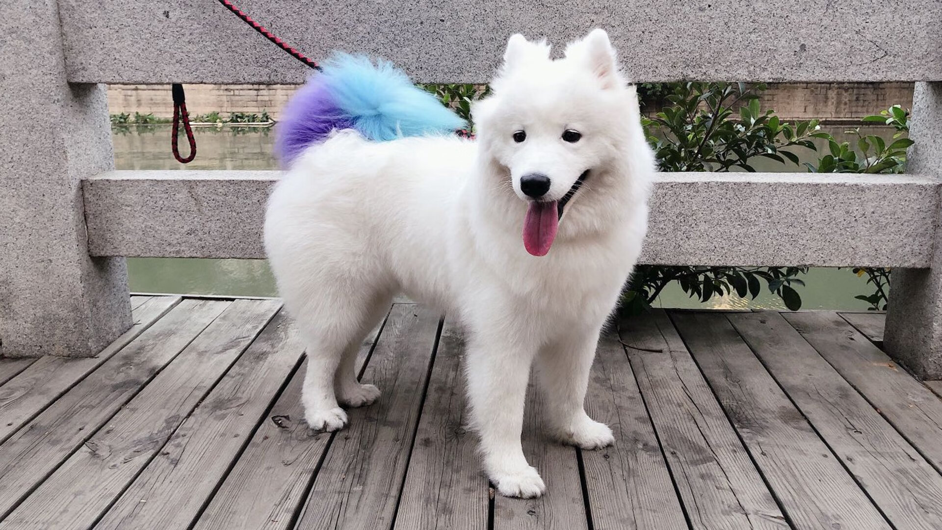 APEX英雄 青训营培养体系完善,apex英雄训练场在哪